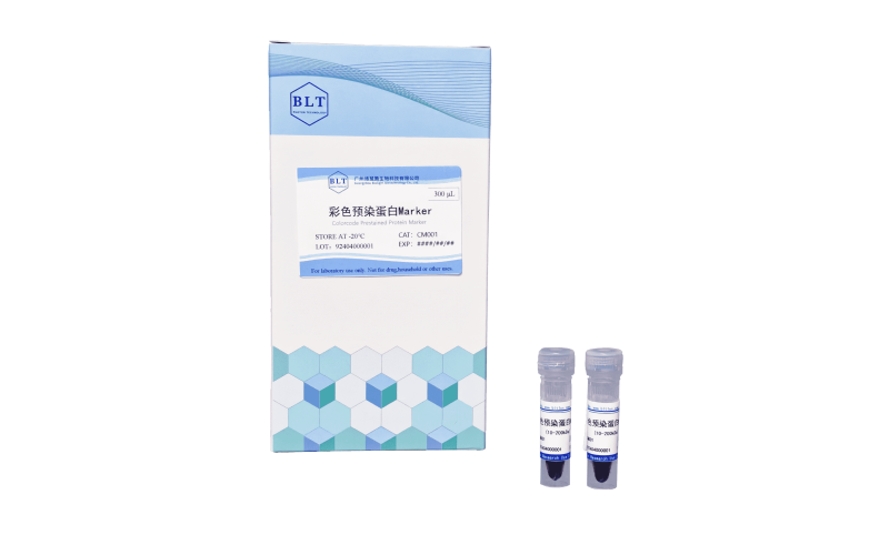 彩色預(yù)染蛋白 Marker (10-200 kDa)