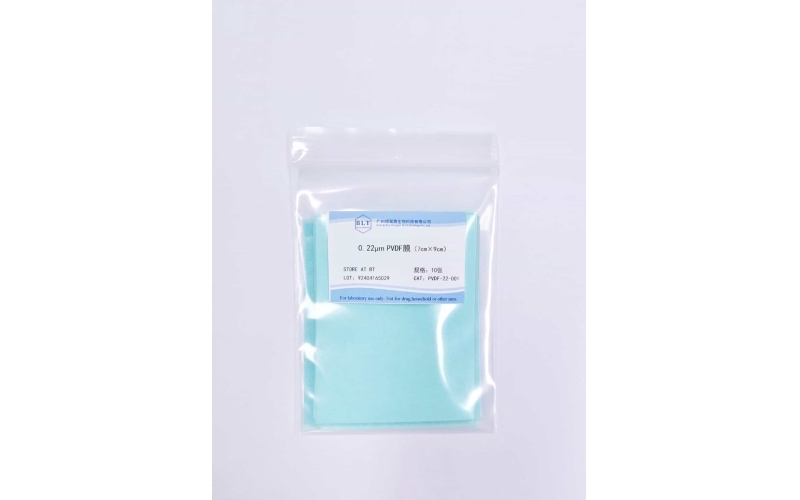 0.22 μm PVDF膜