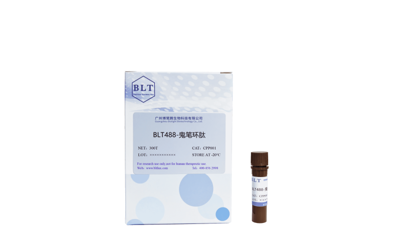 細胞骨架綠色熒光探針 BLT488-鬼筆環(huán)肽