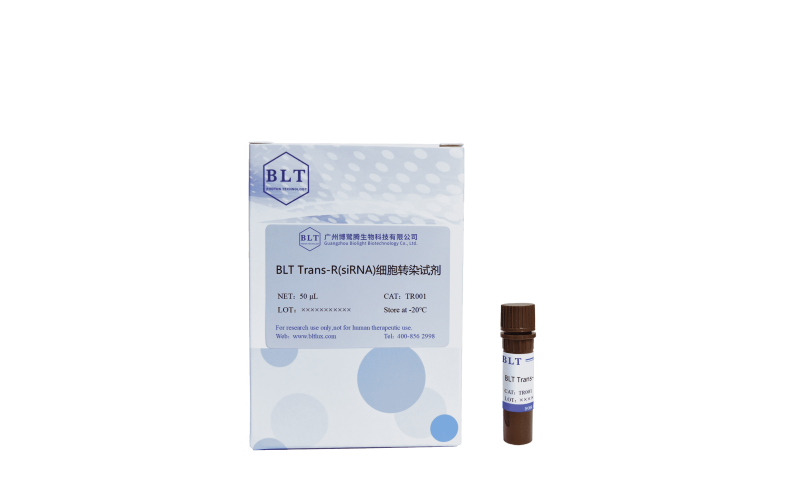 BLT Trans-R(siRNA)細胞轉(zhuǎn)染試劑