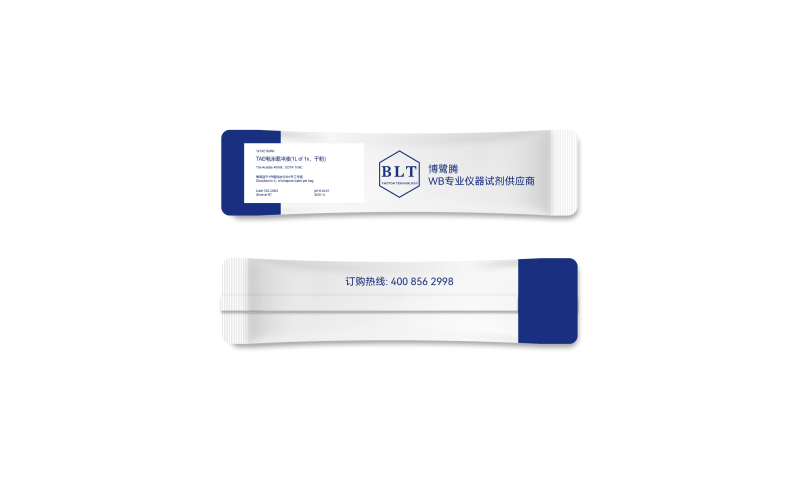 TAE電泳緩沖液（1L of 1x，干粉）